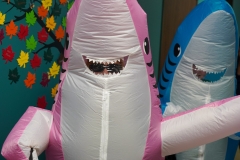 37