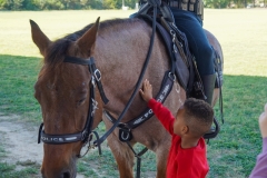 Fire-Trucks-Police-Horses-128