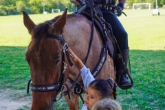 Fire-Trucks-Police-Horses-129