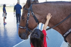 Fire-Trucks-Police-Horses-130