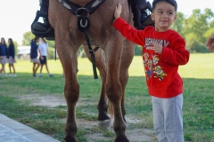 Fire-Trucks-Police-Horses-133