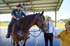 Fire-Trucks-Police-Horses-135