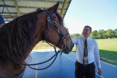 Fire-Trucks-Police-Horses-137