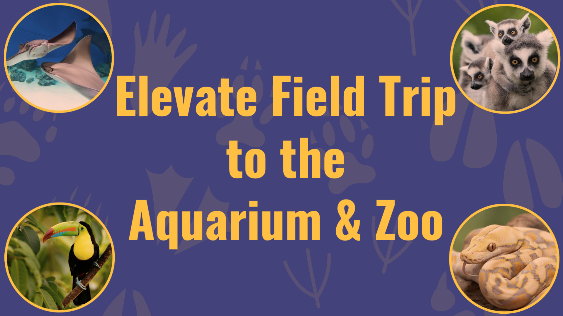 Elevate Field Trip to the Aquarium & Zoo Epiphany Lutheran Church